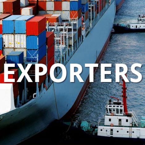 EXPORTADORA LOS LIRIOS S A