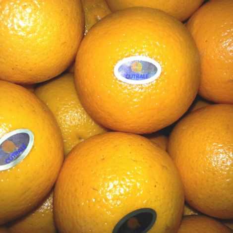 frutaInNatura.jpg
