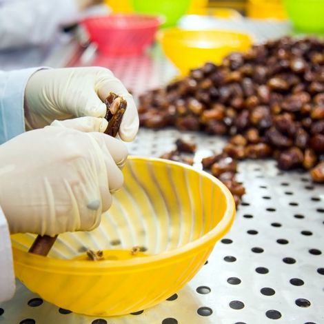 New Lal Shahbaz - Processing Facility