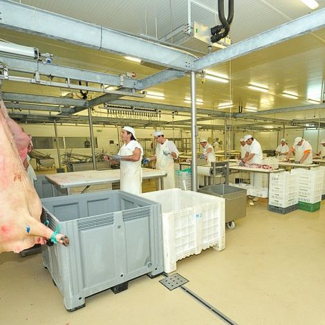 Maporal - Alentejana Breed Pig Slaughterhouse - Facility
