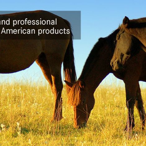 Phixon Trade Company - Livestock