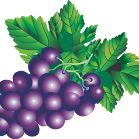 4 M Fruit Distributors Inc