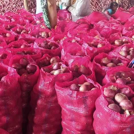Onion
