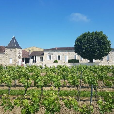 Winery and vineyards