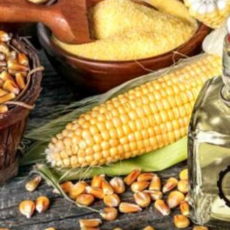 Lean Fructose Processing Company