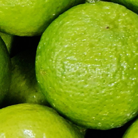 GEKO Fruchthandels GmbH