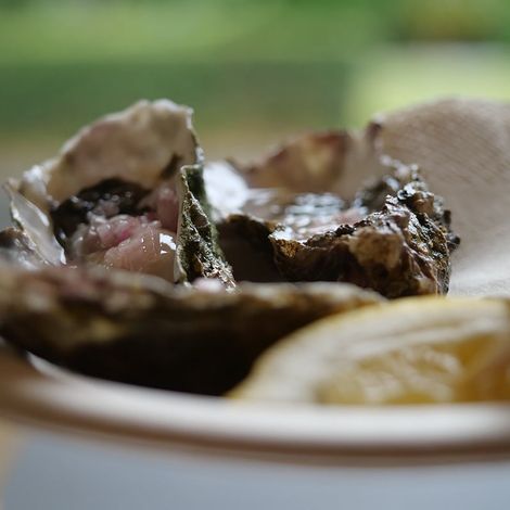 Mahurangi Oysters Limited