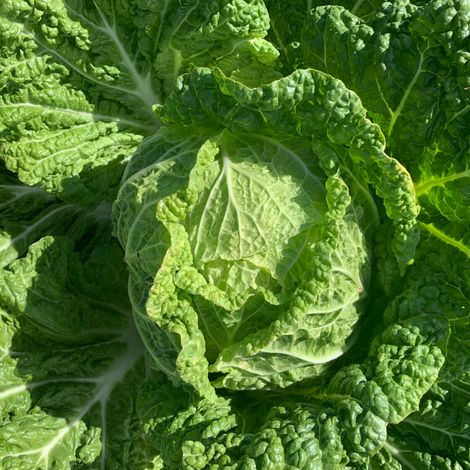 Farmhand Organics, LLC