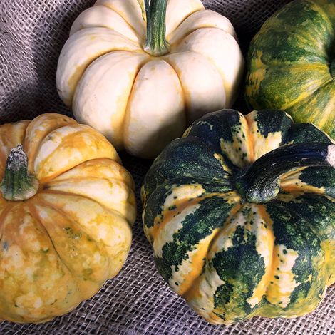 Potatoes, Pumpkins and Nuts
