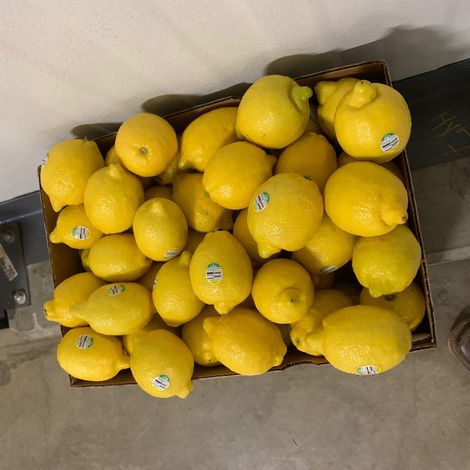 SPF_Lemon_63,75,95,115