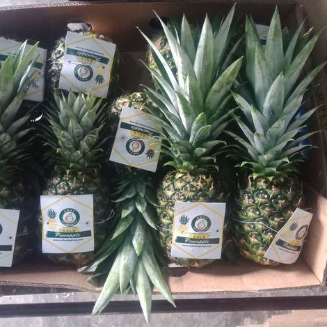 Pineapple Packing