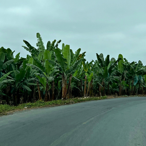 643ekkr3u0-2x1150x360x0x0x0.png