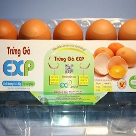 Vietnam EXP Investment Joint Stock Company