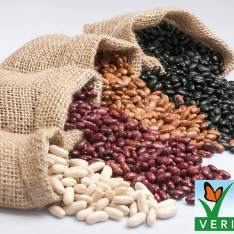 Cooperative Elevator Company