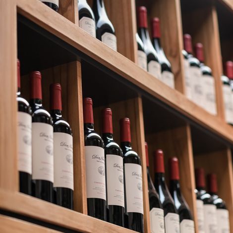 Nieto Senetiner - Wines