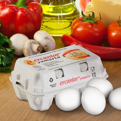 Ercanlar Yumurta Yarka Yem Gida insaat Nakliyat Sanayi Ve Ticaret A S
