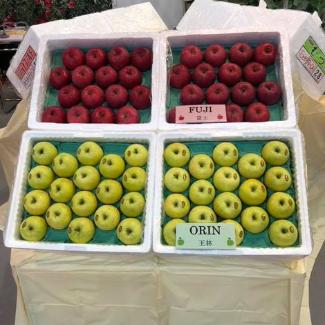 Products