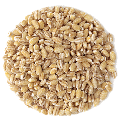 McGeary Grain, Inc