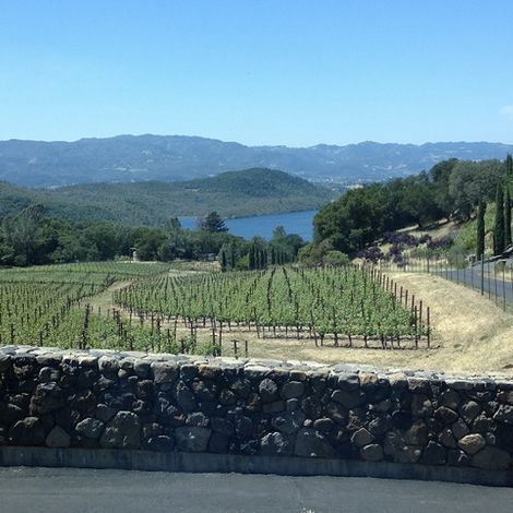 Bryant Estate Vineyard