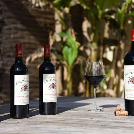 Château Jura-Plaisance_Château Jura-Plaisance Montagne-Saint-Émilion_Red Wine
