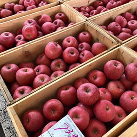 Sams Fruit Co., Ltd. - Products