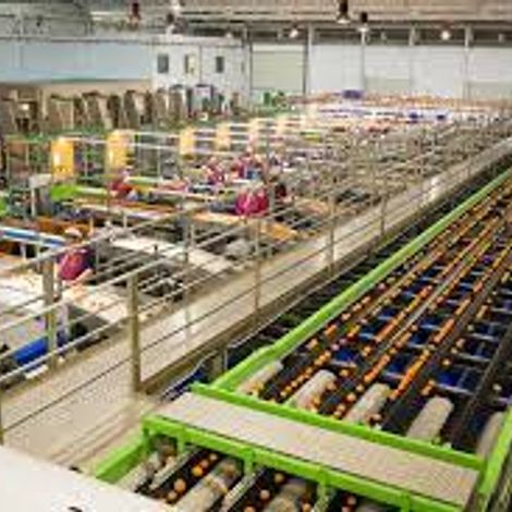 Frutas Plasencia S.L. - Facility