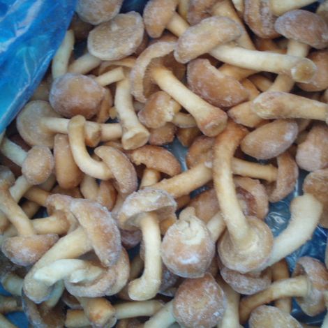 Lianyungang Longda Fine Foods Co.,Ltd
