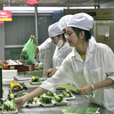 Vietnam EXP Investment Joint Stock Company