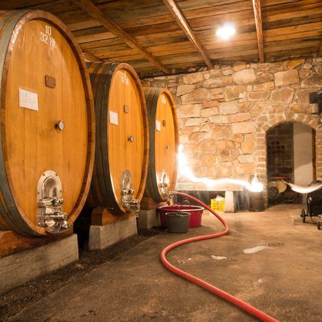 Cellar
