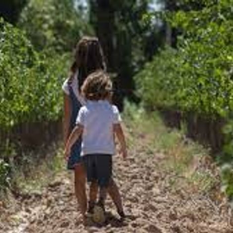 ABEJORRO WINES.jpg