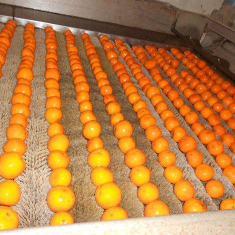 Production