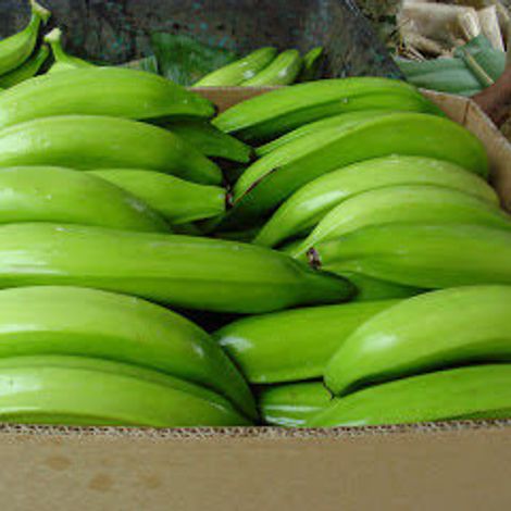 Green Plantain fresh