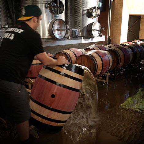 CADE Estate Winery_Wine_Process2