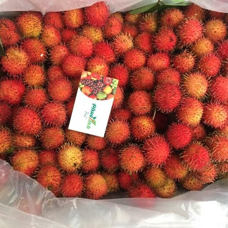 Phuc Linh Trading Development Company Limited - Rambutan