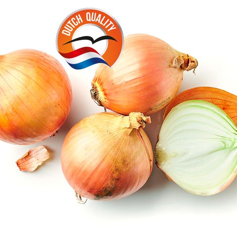 flevotrade_onions_quality_home.jpg