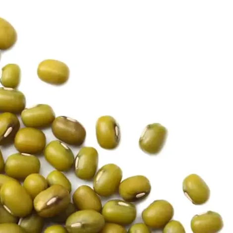 German Grain TAB GmbH