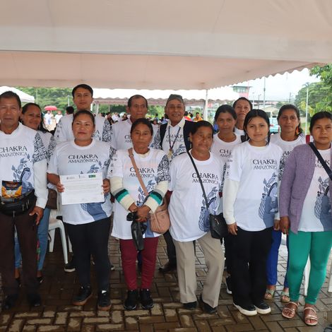 producers of guayusa