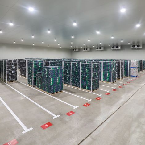 Grape Co Australia Pty Ltd - Cold Storage Facility