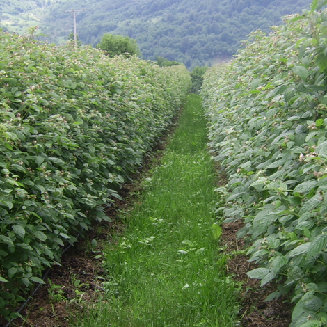 Screenshot 2023-02-14 at 7.54.44 AM.png