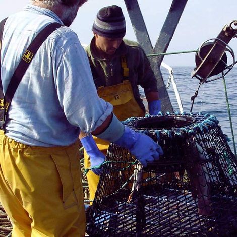 W. Harvey & Sons Ltd - Boat