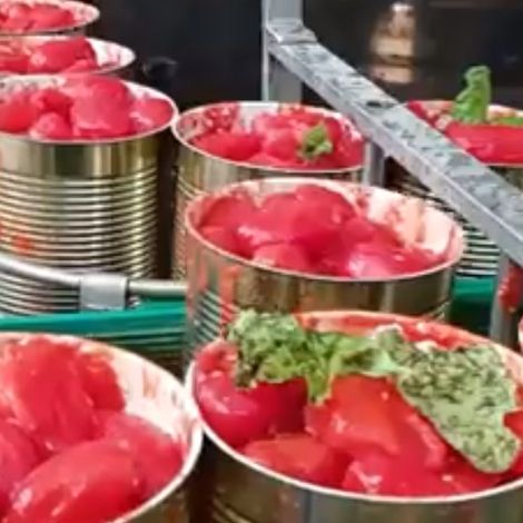 Screenshot 2023-05-12 130034.jpg