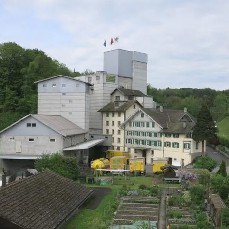 Bachtalmühle AG