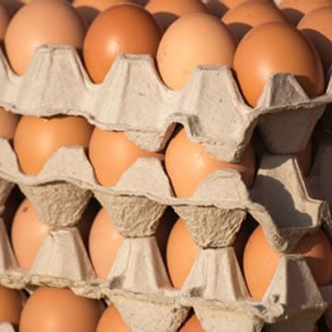 crates-of-eggs.jpg