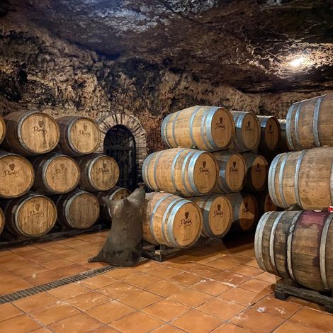 La Bodega de las Estrellas - Cave