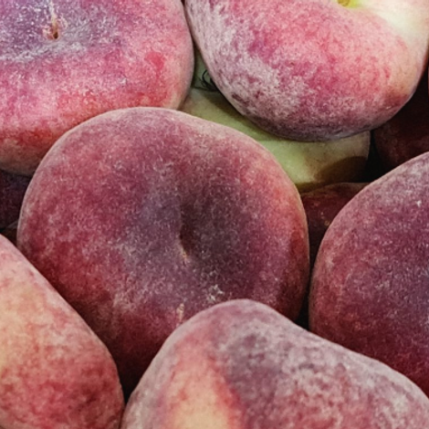 GEKO Fruchthandels GmbH