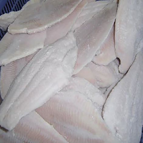 Channel Seafoods International, Inc.