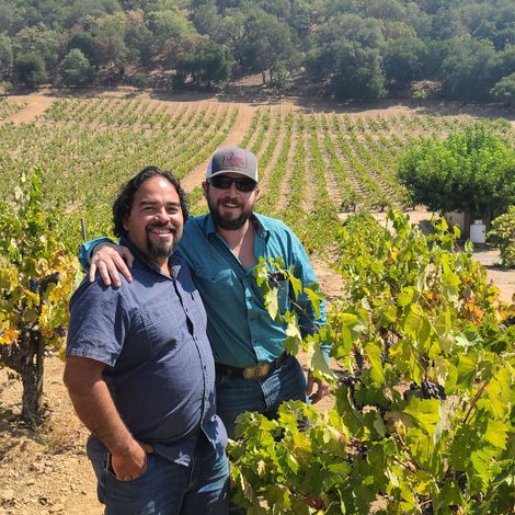 Jessup Cellars_Wine_Vineyards1