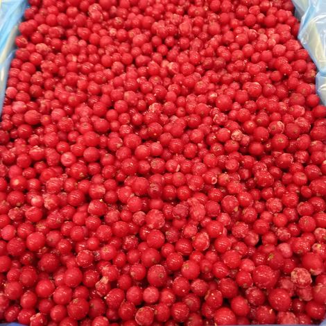 IQF REDCURRANTS
