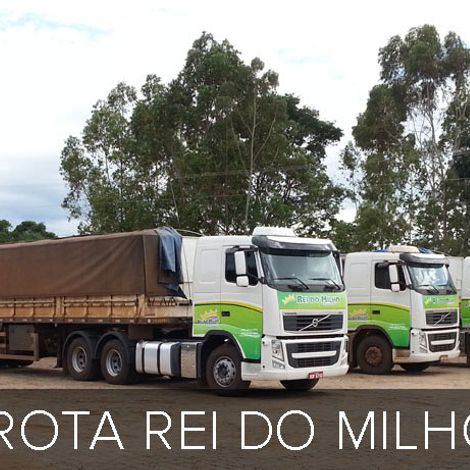 frota-reidomilho.jpg