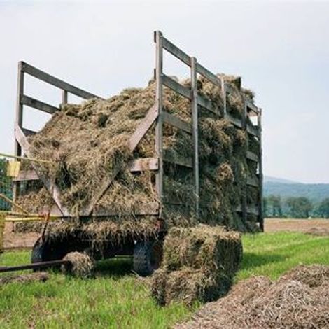 Farm
